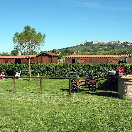 La Locanda Del Musone - Loreto B&B Conero Castelfidardo Esterno foto