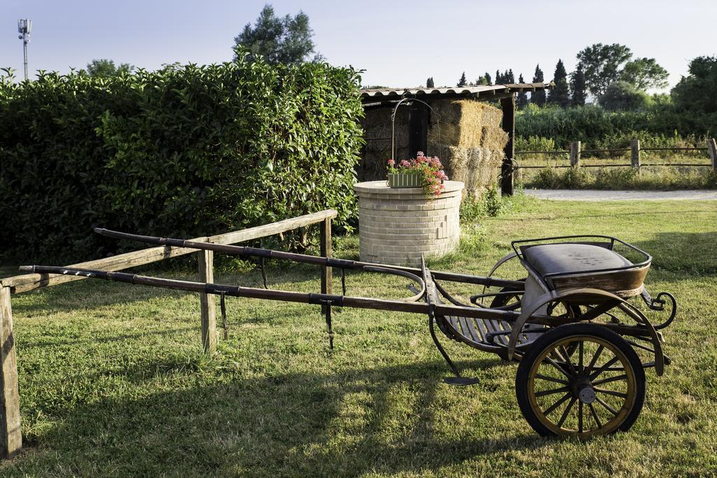 La Locanda Del Musone - Loreto B&B Conero Castelfidardo Esterno foto